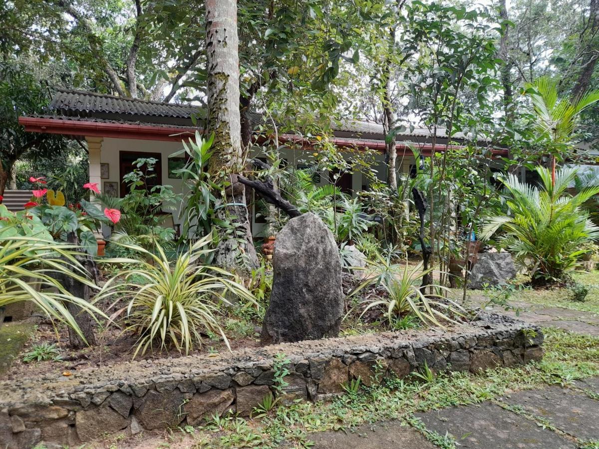 Sigiri Jungle Villa Сигирия Екстериор снимка