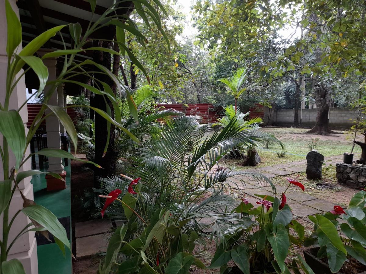 Sigiri Jungle Villa Сигирия Екстериор снимка